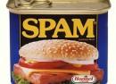spam spam