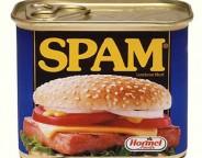 spam