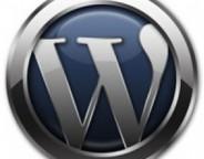 wordpress-logo3