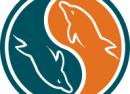 MySQl-logo MySQl-logo