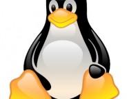 linux