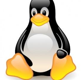 linux