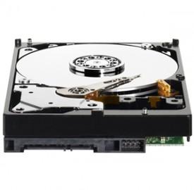 WD 3TB