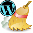 wordpress cleaning