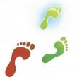 footprint