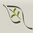 sprouty logo 1