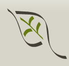 sprouty logo 1