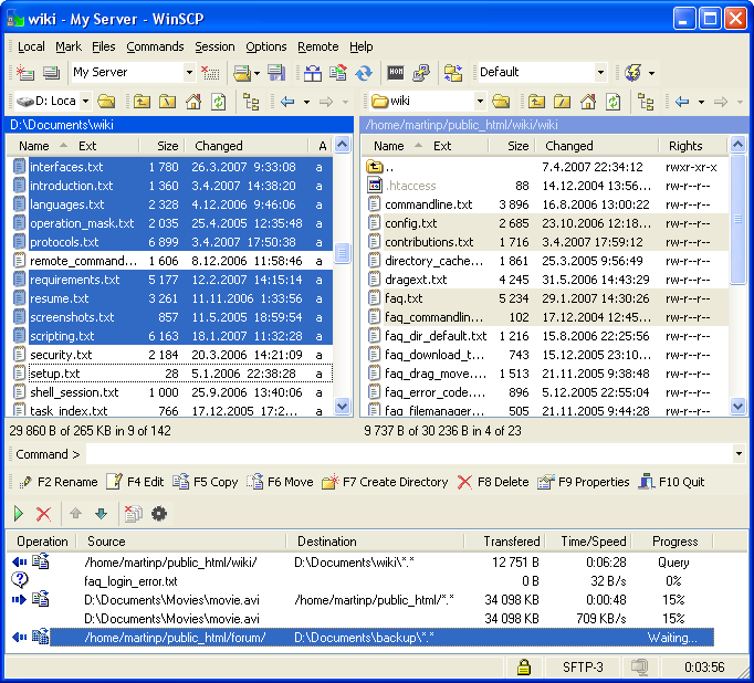 winscp window