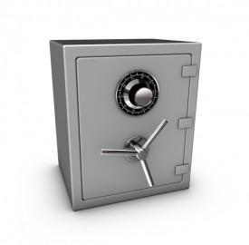 133661669safe