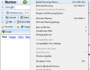 internet explorer -tools - delete browsing