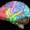 creierul_uman