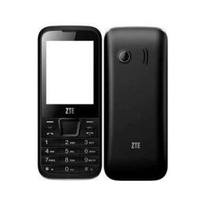 ZTE F100