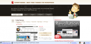 Top WordPress Themes - Best Free Themes for WordPress_1251186402289