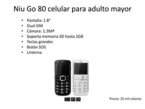NIU GO 80