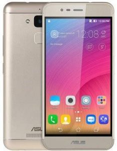 Asus Pegasus