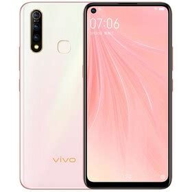 vivo Z5x (2020)