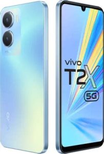 vivo T2x