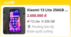 Xiaomi 13 Lite
