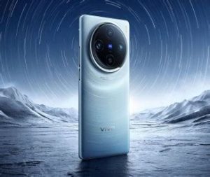 vivo X100