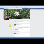 Cum ștergi o poză de pe Facebook Cum sa stergi o poza de pe Facebook