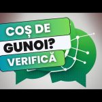 Există un coș de gunoi pe WhatsApp? Unde ajung mesajele și fișierele șterse Există un „Coș de gunoi” pe WhatsApp?