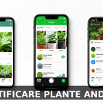 cele mai bune aplicatii gratuite pe Android pentru identificare plante