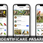 cele mai bune aplicatii gratuite pe iPhone pentru identificare pasari